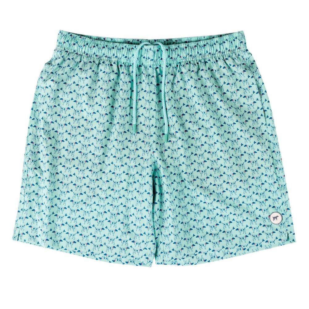 NEW SOUTHERN POINT CO. boy's youth patterned trunks in greyton mint